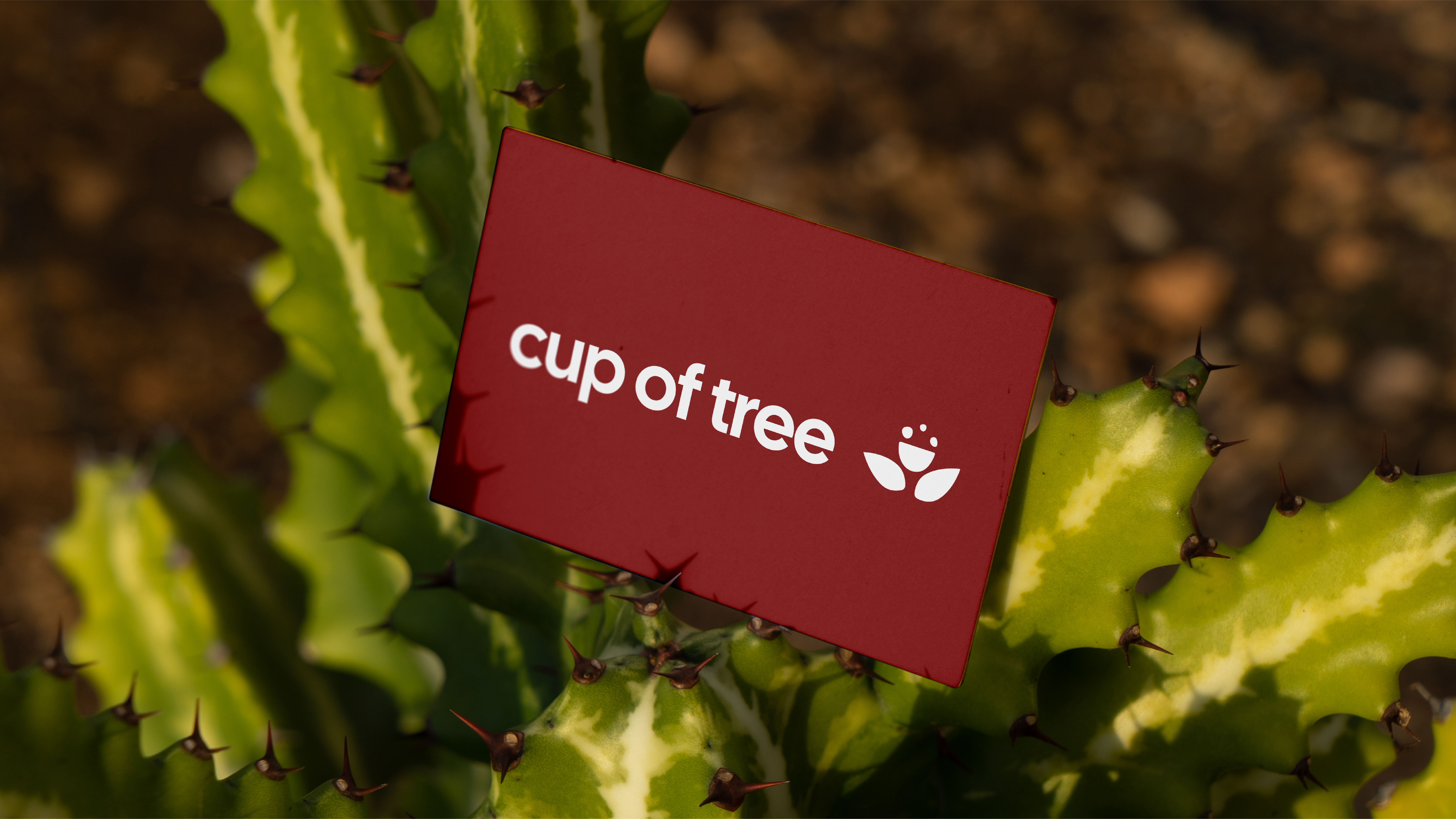 cupoftree